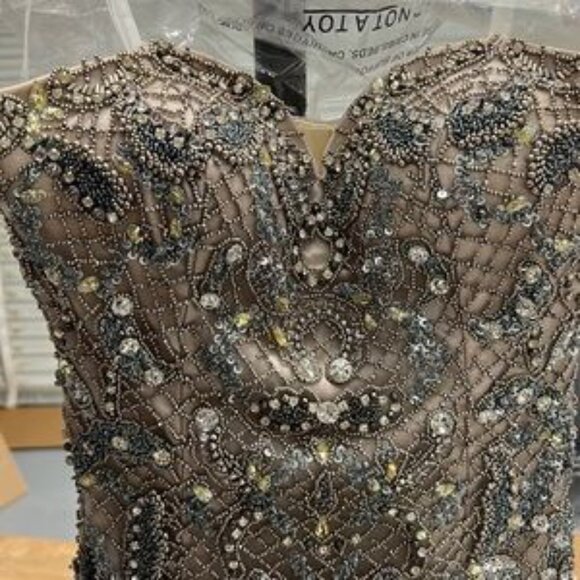 Stunningly gorgeous Terani dress - Picture 6 of 7